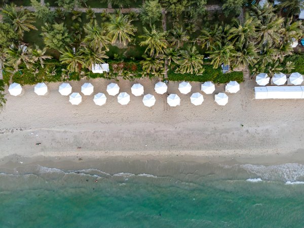 Comment organiser une expédition pour observer les girafes en Tanzanie ?